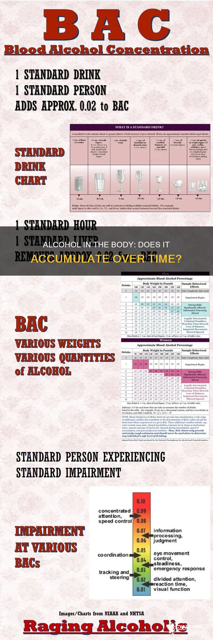 does alcohol build up in your system and stay there