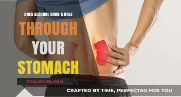 Alcohol and Stomach Damage: Separating Myth from Reality