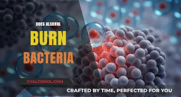 Alcohol's Antibacterial Power: Does It Really Kill Bacteria Effectively?