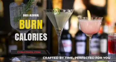Does Alcohol Burn Calories? Uncovering the Truth Behind the Myth