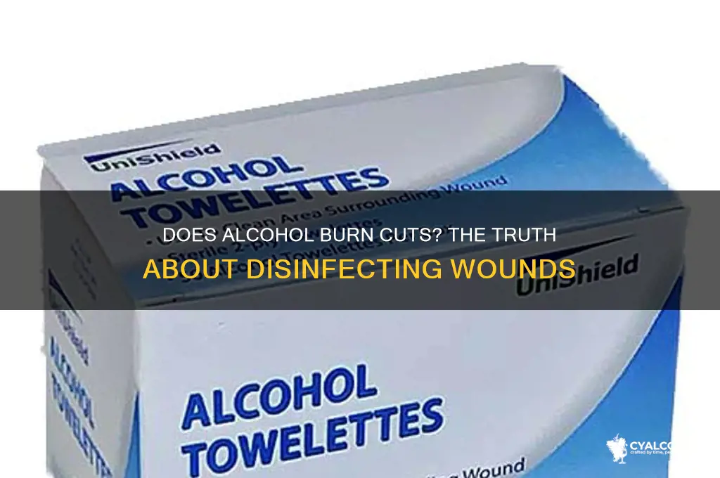 does alcohol burn cuts