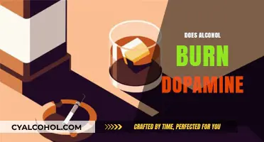 Alcohol and Dopamine: Does Drinking Really Burn Your Happy Hormone?