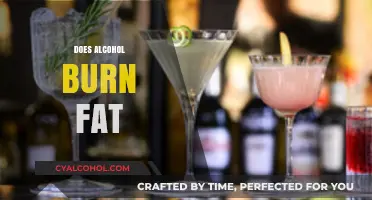 Does Alcohol Burn Fat? Uncovering the Truth Behind the Myth