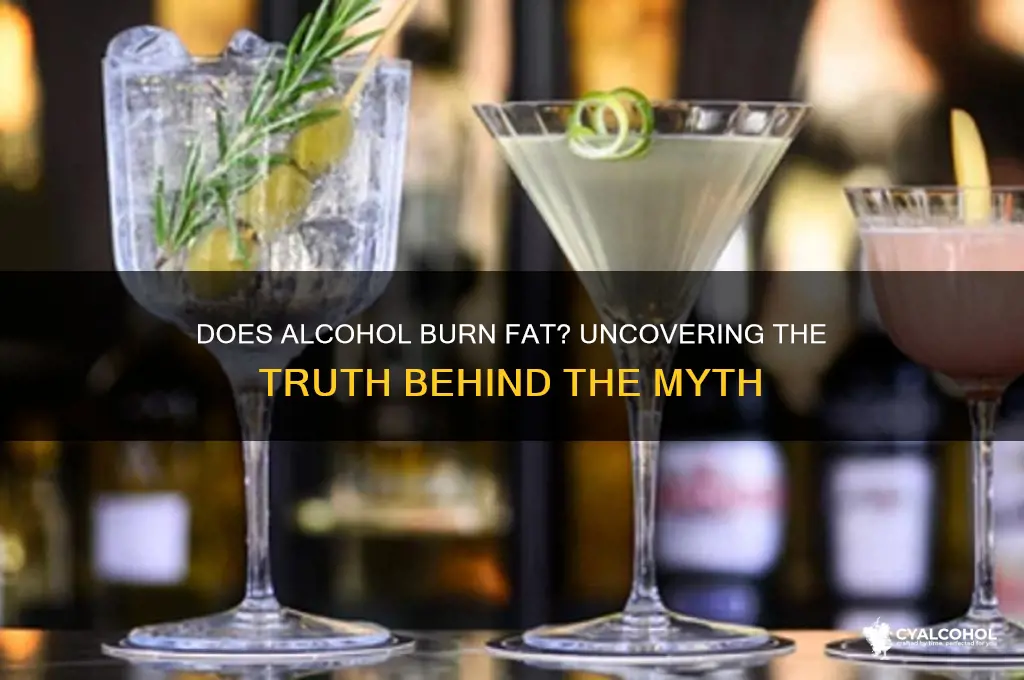 does alcohol burn fat