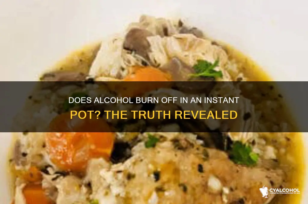 does alcohol burn off in an instant pot