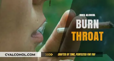 Does Alcohol Burn Your Throat? Causes, Remedies, and Prevention Tips