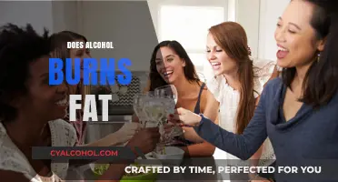 Does Alcohol Burn Fat? Unveiling the Truth Behind the Myth