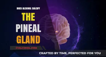 Alcohol and Pineal Gland Calcification: Unraveling the Myth and Facts