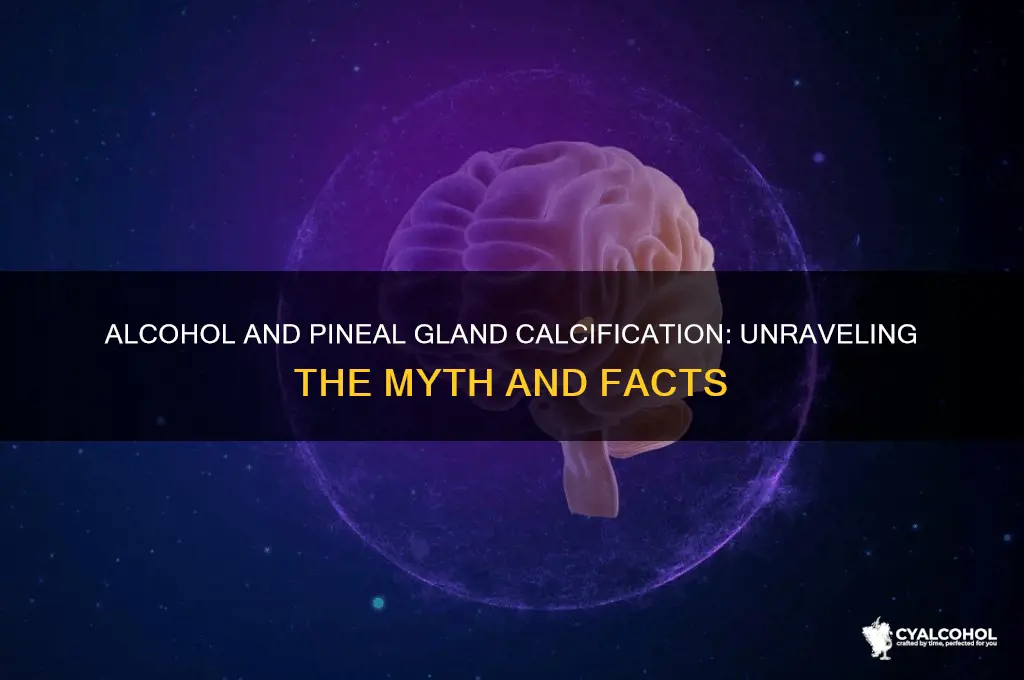 does alcohol calcify the pineal gland
