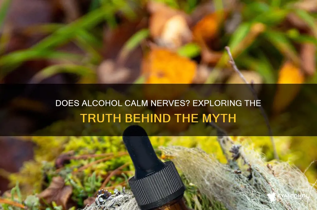 does alcohol calm nerves