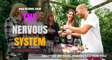 Alcohol's Impact: Does It Truly Calm the Nervous System?