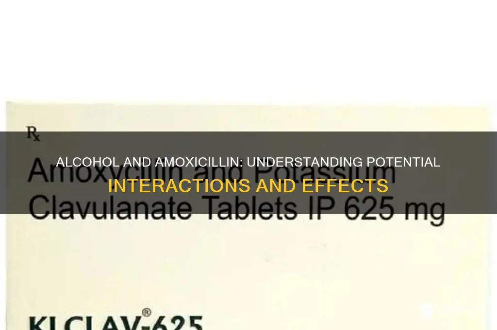does alcohol cancel amoxicillin
