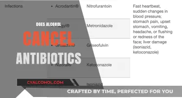 Alcohol and Antibiotics: Understanding the Risks and Interactions
