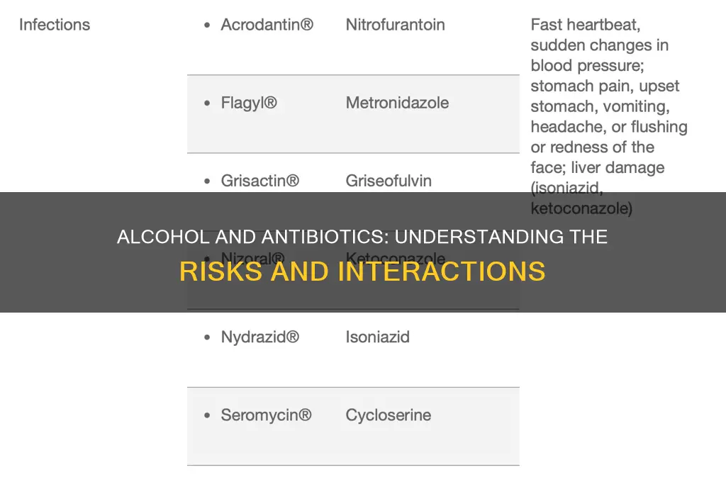 does alcohol cancel antibiotics