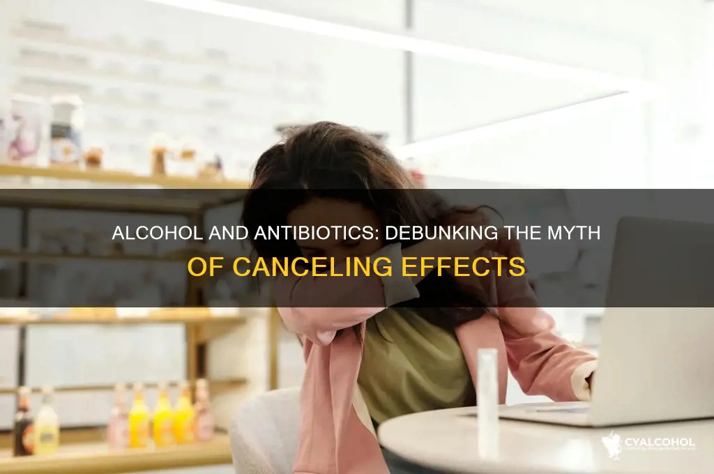 does alcohol cancel out an antibiotic