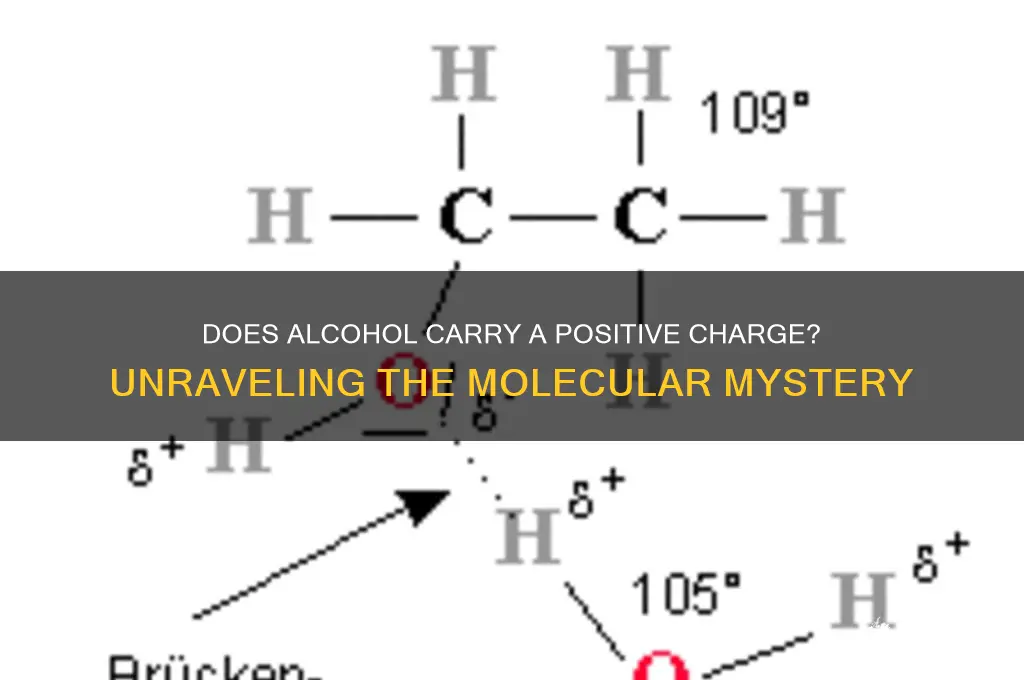 does alcohol carry a positive charge