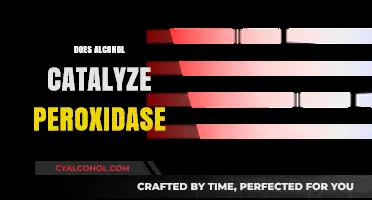 Alcohol and Peroxidase: Unraveling the Catalytic Interaction Mystery