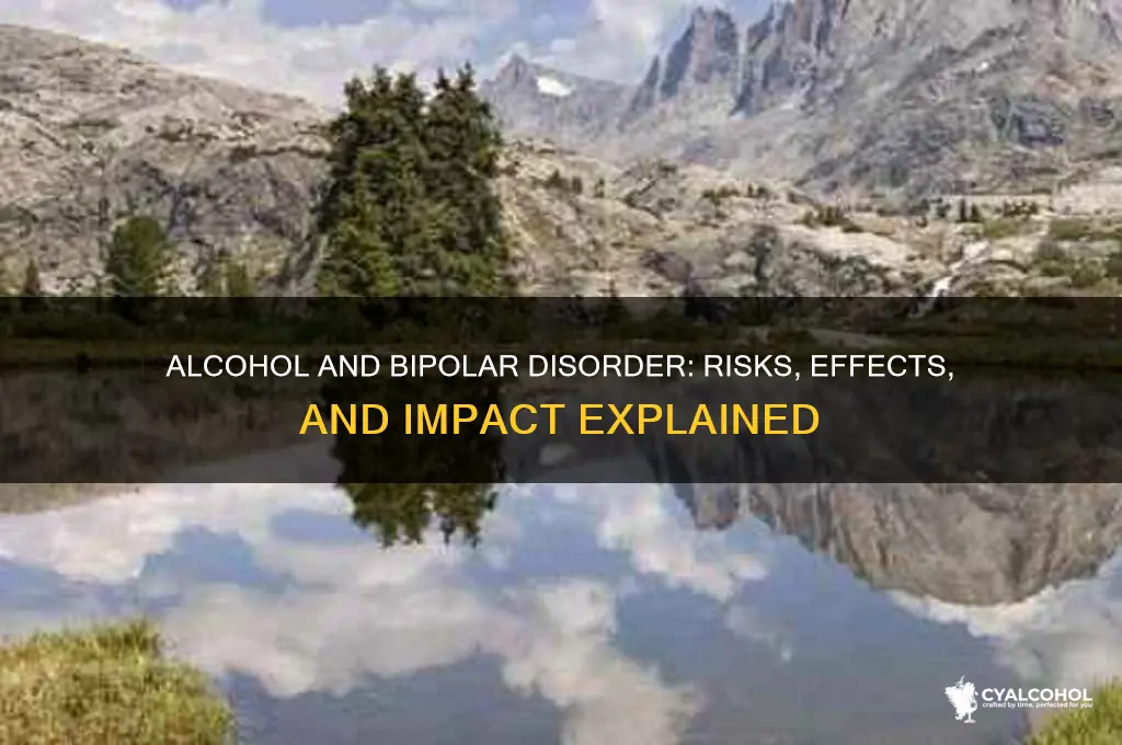 does alcohol change a bipolar person