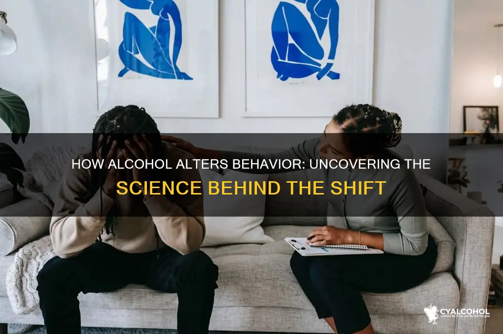 does alcohol change people
