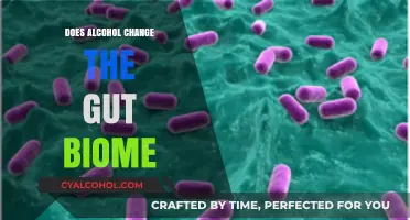 Alcohol's Impact on Gut Health: How Drinking Alters Your Microbiome