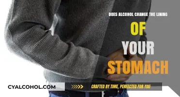 How Alcohol Affects Your Stomach Lining: Risks and Realities