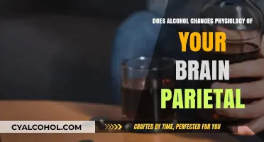 How Alcohol Alters Brain Physiology: Exploring the Parietal Lobe's Role