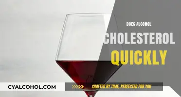 Alcohol and Cholesterol: How Quickly Does Drinking Impact Your Levels?