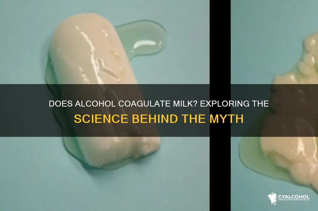 does alcohol coagulate milk
