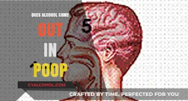 Does Alcohol Exit Through Poop? Unraveling the Digestive Mystery