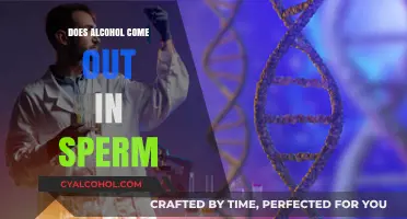 Alcohol and Sperm: Does Drinking Affect Semen Composition?