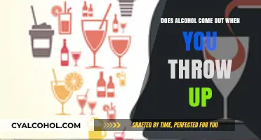 Vomiting and Alcohol: Does Throwing Up Eliminate Alcohol from Your System?