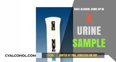Does Alcohol Show Up in Urine Tests? Facts and Detection Times
