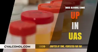 Does Alcohol Show Up in Urine Analysis Screening Tests?