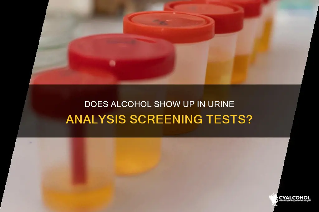 does alcohol come up in uas