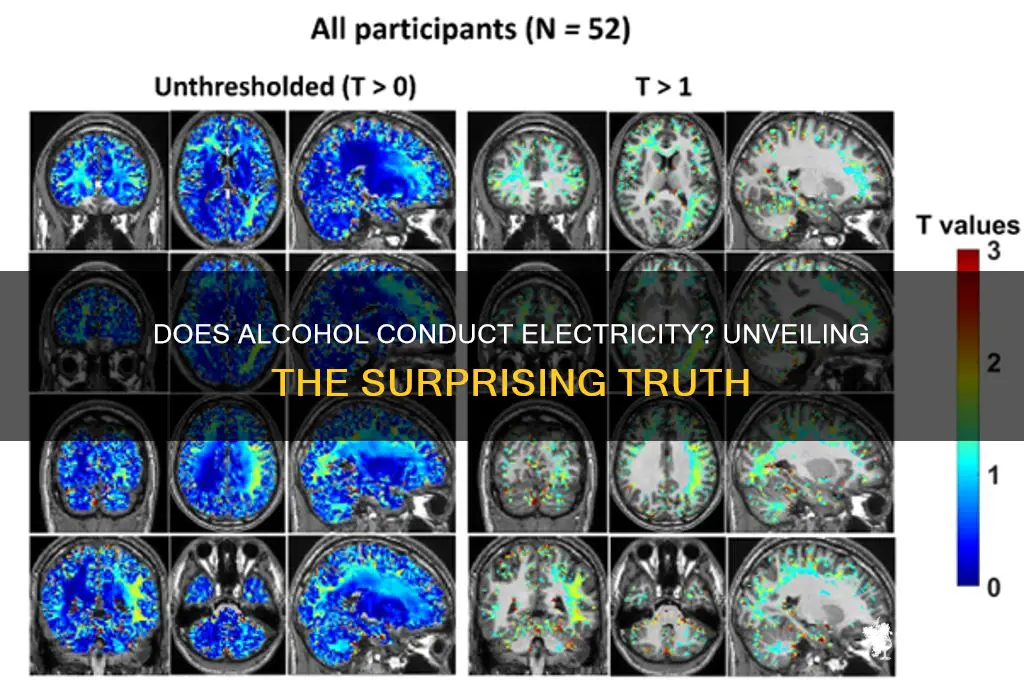 does alcohol conduct electricity