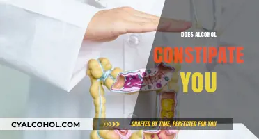 Alcohol and Constipation: Unraveling the Surprising Digestive Connection