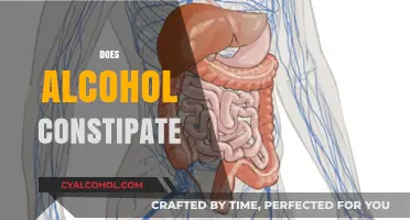 Does Alcohol Cause Constipation? Understanding the Digestive Impact of Drinking