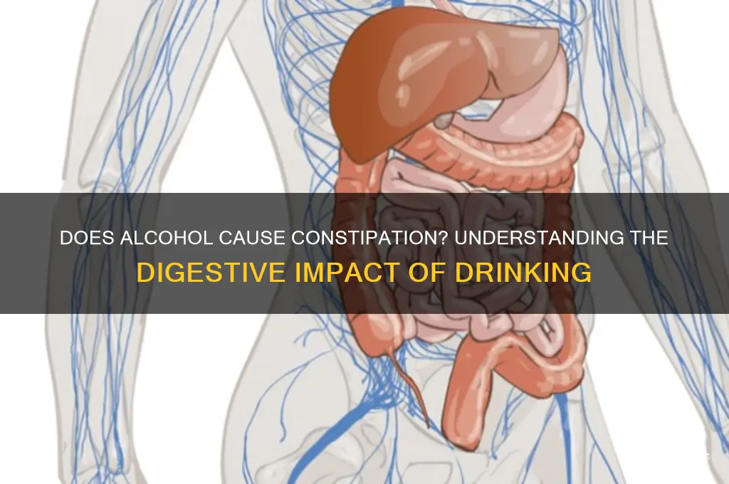 does alcohol constipate