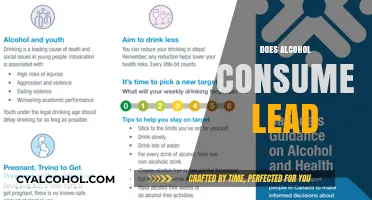 Does Alcohol Consumption Lead to Health Risks and Long-Term Damage?
