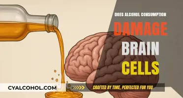 Alcohol's Impact: Does Drinking Really Kill Brain Cells?