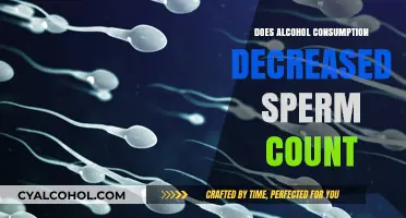 Alcohol and Fertility: How Drinking Impacts Sperm Count and Quality