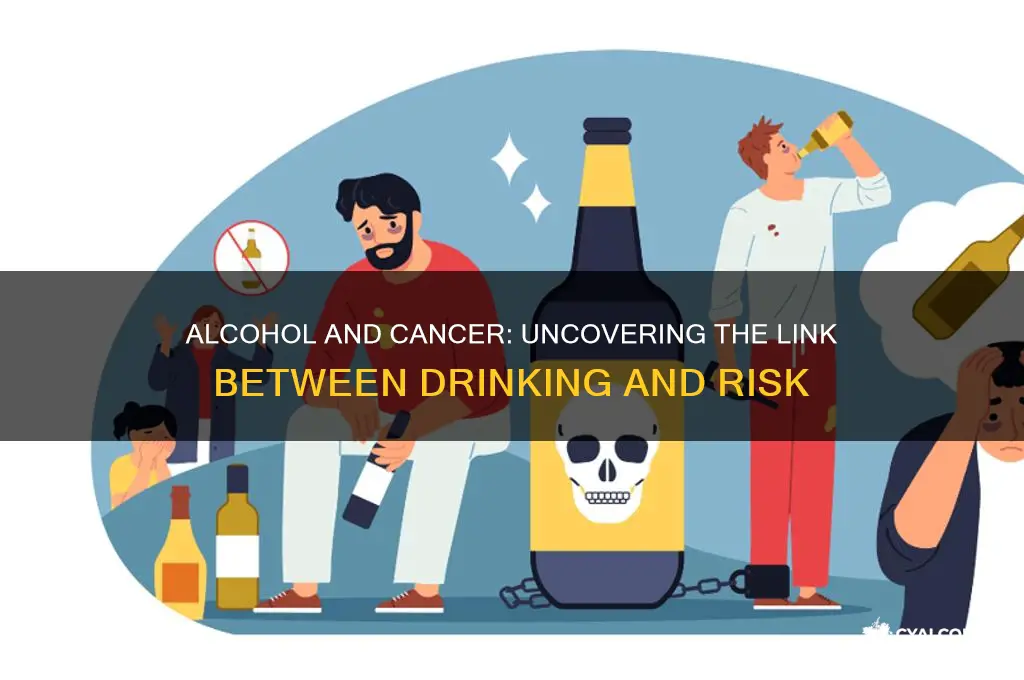 does alcohol consumption increase cancer risk