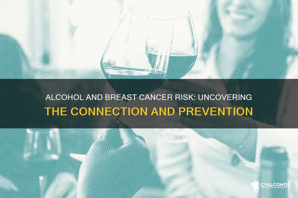 does alcohol consumption increase risk of breast cancer