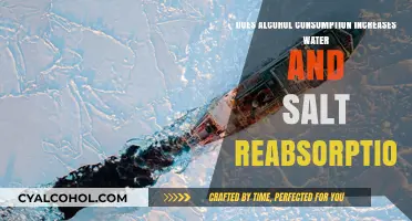 Alcohol's Impact: Boosting Water and Salt Reabsorption in the Body