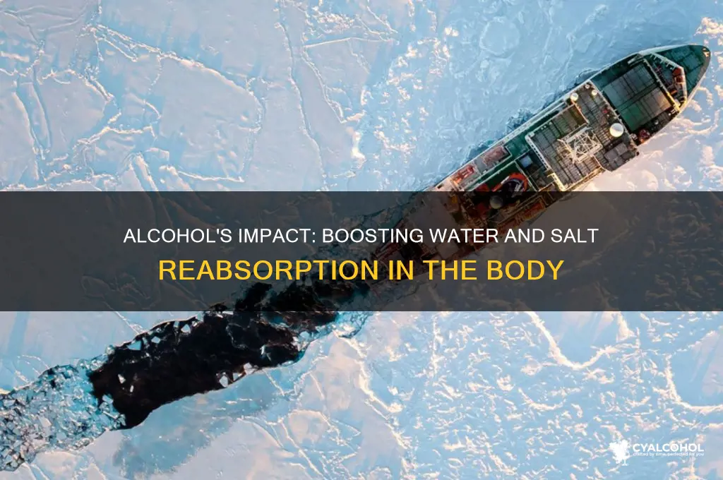 does alcohol consumption increases water and salt reabsorption