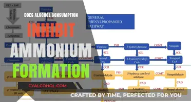 Alcohol's Impact on Ammonium Formation: Unraveling the Metabolic Connection