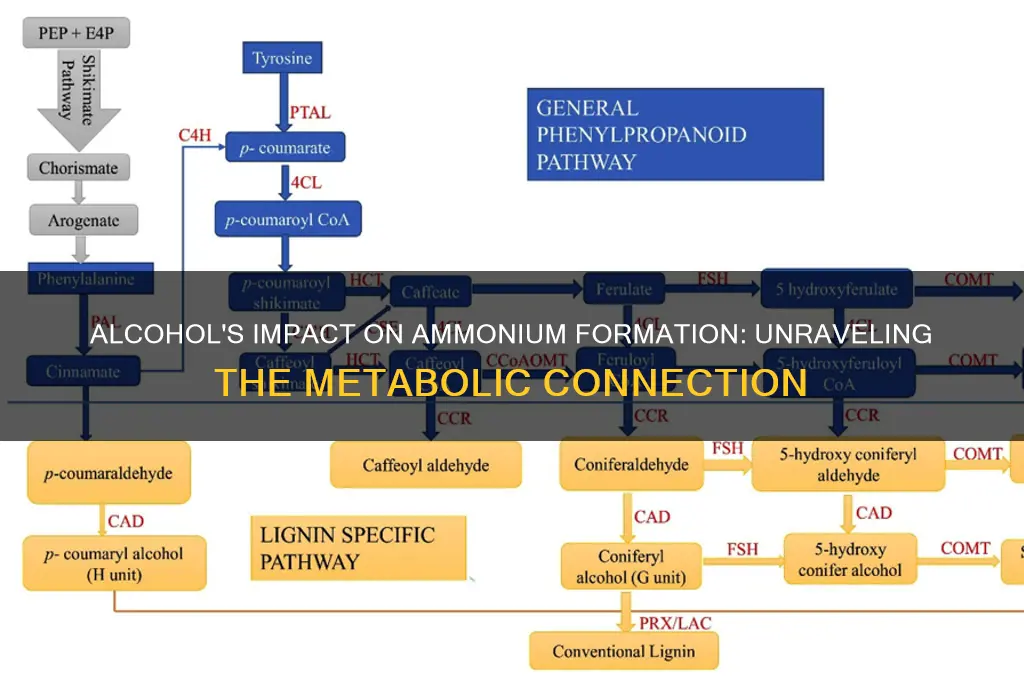 does alcohol consumption inhibit ammonium formation