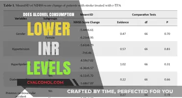 Alcohol and INR Levels: Understanding the Impact on Blood Thinning