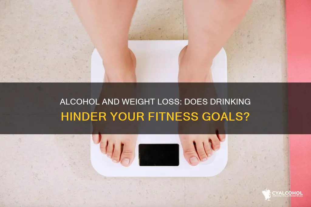 does alcohol consumption prevent weight loss