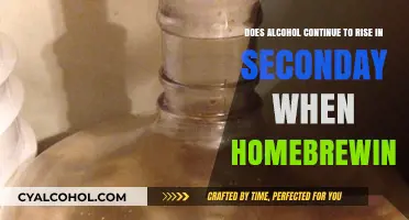 Alcohol Levels Rise in Secondary Homebrewing